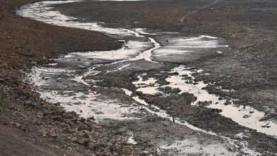 Photo of अमरकंटक में बारिश शुरू –  पुष्कर सहित बांधो का कार्य अधूरा