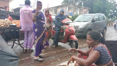 Photo of आसमान छूते भाव के बाद भी “पिहरी प्रेमियों” की नहीं कमी