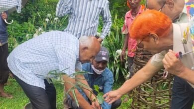 Photo of बापा उ.मा.वि.बोंदर में वनवासी सेवा मण्डल द्वारा किया वृक्षारोपण