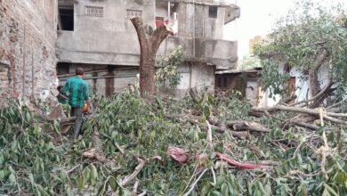 Photo of शिव मंदिर ट्रस्ट की भूमि पर लगा पेड़ काटते समय पास के घर पर गिरा
