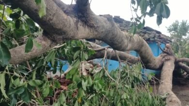 Photo of आंधी तूफान ने उजाड़ा गरीबों का आशियाना  दर्जनों घर तबाह