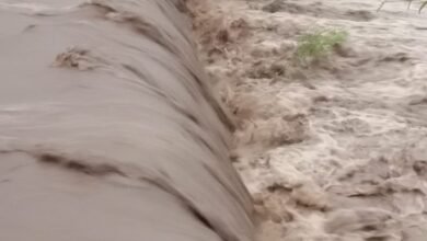 Photo of झमाझम बारिश से बिजाखन नदी उफान पर