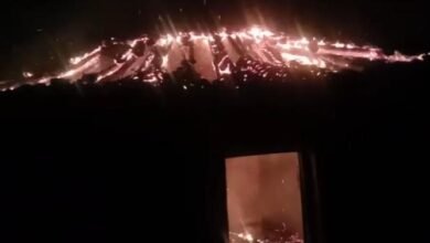 Photo of गौशाला में लगी आग 8 मवेशी जलकर मृत, 2 को सुरक्षित निकाला गया