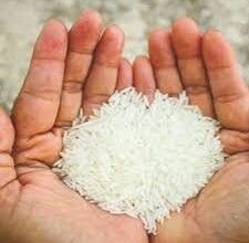 Photo of “फोर्टिफाइड चावल” को लेकर चकमी क्षेत्र में अफवाह का माहौल