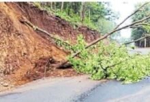 Photo of नेशनल हाइवे पर बढ़ा खतरा: मिट्टी के कटाव से गिर रहे पेड़