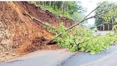 Photo of नेशनल हाइवे पर बढ़ा खतरा: मिट्टी के कटाव से गिर रहे पेड़