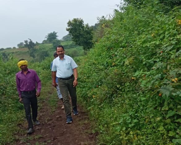 Photo of एसडीएम रामबाबू देवांगन ने किया निर्माणधीन कार्यों का निरीक्षण – अधिकारियों को दिए पूर्ण करने के निर्देश 