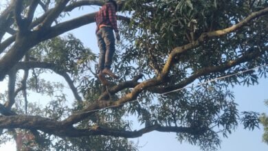 Photo of पेड में लटकता मिला बिलाईखार निवासी युवक का शव – जांच में जुटी पुलिस 