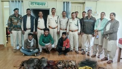 Photo of संरक्षित वन्य जीवों का शिकार करने वाले तीन आरोपियों को वन अमले ने किया गिरफ्तार