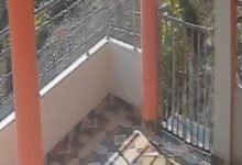 Photo of तेज रफ्तार कार ने मारी परिक्रमा वासी को टक्कर , इलाज जारी