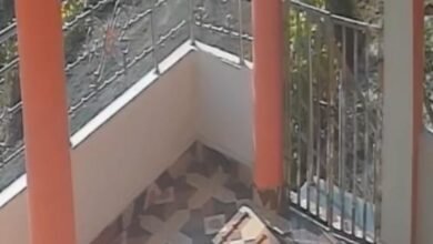 Photo of तेज रफ्तार कार ने मारी परिक्रमा वासी को टक्कर , इलाज जारी