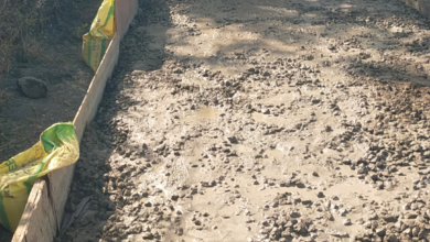 Photo of देवरा पंचायत में निर्माणाधीन सी सी रोड में ठेकेदार कर रहा मनमानी – वार्ड मेंबर सहित ग्रामीणों ने लगाया गुणवत्ता हीन कार्य करने का आरोप