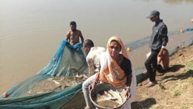Photo of मत्स्य पालन से आत्मनिर्भरता की मिसाल बनी प्रेमवती – राज्य स्तरीय सर्वोत्तम कृषक पुरस्कार से सम्मानित