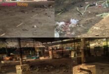 Photo of सब्जी मंडी को अन्यत्र स्थापित करने की मांग, सफाई व्यवस्था चरमराई—स्वास्थ्य संकट गहराया