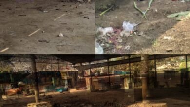 Photo of सब्जी मंडी को अन्यत्र स्थापित करने की मांग, सफाई व्यवस्था चरमराई—स्वास्थ्य संकट गहराया