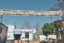 Photo of जिला पशु चिकित्सालय में कलेक्टर का औचक निरीक्षण-  एक्सपायरी दवाइयों को जलाने के मामले को लिया संज्ञान 