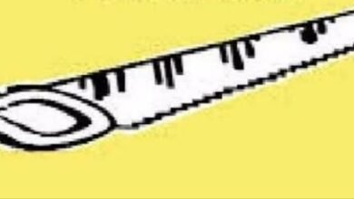 Photo of गोंडवाना ने दिए कड़ी कार्रवाई का संकेत