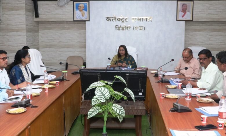 Photo of जिला स्वास्थ्य समिति की बैठक संपन्नः- डॉ. भीमराव अंबेडकर स्वास्थ्य शिविरों के माध्यम से सिकल सेल जांच अभियान मिलेगी को गति