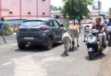 Photo of ऊर्जा संरक्षण की खास पहल – साइकिल और ई-स्कूटी से कार्यालय पहुंचे अधिकारी, दिया ऊर्जा संरक्षण का संदेश