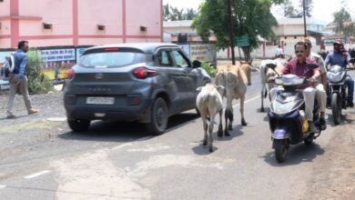 Photo of ऊर्जा संरक्षण की खास पहल – साइकिल और ई-स्कूटी से कार्यालय पहुंचे अधिकारी, दिया ऊर्जा संरक्षण का संदेश