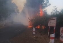 Photo of NH-45 पर बड़ा हादसा टला: फायर ब्रिगेड ने भूसे और पेड़ों को आग की चपेट में आने से बचाया, बिजली सप्लाई सुरक्षित