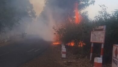 Photo of NH-45 पर बड़ा हादसा टला: फायर ब्रिगेड ने भूसे और पेड़ों को आग की चपेट में आने से बचाया, बिजली सप्लाई सुरक्षित