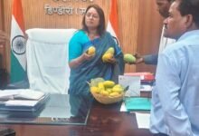 Photo of बजाग में महकी किसानों के बाग में आम की मिठास, किसान मोती सारीवान ने कलेक्टर को भेंट किए जैविक आम
