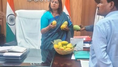 Photo of बजाग में महकी किसानों के बाग में आम की मिठास, किसान मोती सारीवान ने कलेक्टर को भेंट किए जैविक आम