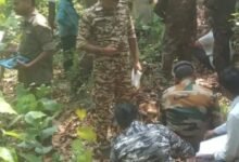 Photo of जंगल में मिला 5 दिनों से लापता 5 वर्षीय मासूम इमरान का शव – परिजनों के साथ ग्रामीणों ने जतायी हत्या की आशंका 
