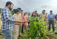 Photo of पौधारोपण के साथ पौधों का संरक्षण भी करें सुनिश्चित : – कलेक्टर श्रीमती अंजू पवन भदौरिया