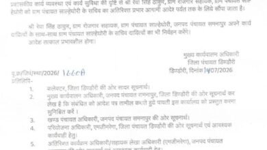 Photo of सचिव दो साल से बीमार, रोजगार सहायक के हाथ सचिव की जिम्मेदारी; वित्तीय प्रभार पर उठ रहे सवाल – ग्राम पंचायत साल्हे घोरी का मामला