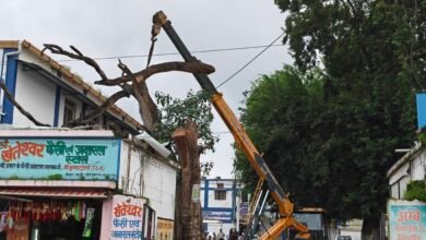 Photo of जिला अस्पताल परिसर में क्रेन से हटाया गया विशाल सूखा पेड़ – लंबे समय से हो रही थी पेड़ कटवाने की मांग, मरीजों और परिजनों के लिए बना था खतरा