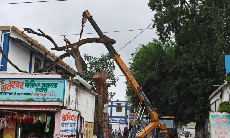Photo of जिला अस्पताल परिसर में क्रेन से हटाया गया विशाल सूखा पेड़ – लंबे समय से हो रही थी पेड़ कटवाने की मांग, मरीजों और परिजनों के लिए बना था खतरा