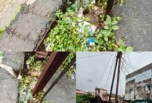 Photo of वार्ड क्रमांक 4 में बड़ी दुर्घटना का खतरा: बिजली पोल के पास धंसी जमीन