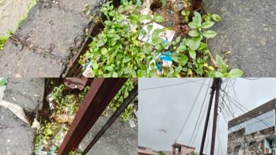 Photo of वार्ड क्रमांक 4 में बड़ी दुर्घटना का खतरा: बिजली पोल के पास धंसी जमीन